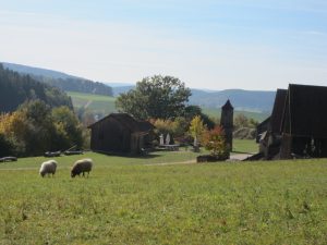 Kulturní krajina skanzenu