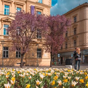 Ilustrační foto - Brno