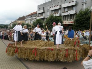 Dožínkový průvod