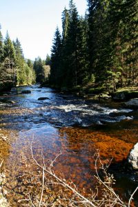 Šumava