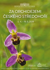 Za orchidejemi Českého středohoří