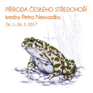 Příroda Českého středohoří – kresby Petra Nesvadby