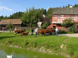 Život ve skanzenu