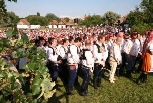 Snímek z loňského festivalu Strážnice