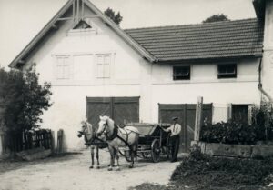 Jan Boštík s koňským povozem před svým mladočovským stavením v druhé polovině 50. let 20. století. Zde žil až do začátku 70. let, kdy se s manželkou odstěhoval do čp. 28.